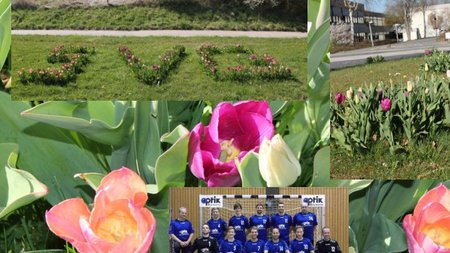 Was haben unsere Handball-Tulpen und unsere Handball-Männer gemeinsam?
