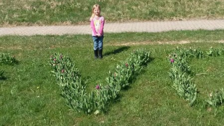 „Blüten vieler Blumen erzählen eine Geschichte“