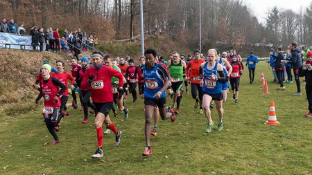 Tolle Strecke, tolles Wetter und tolles Teilnehmerfeld beim Eifelsteig-Crosslauf